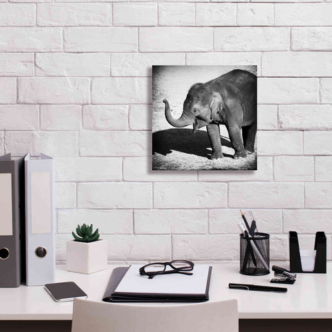 Image of 'Elephant IV' by Debra Van Swearingen, Canvas Wall Art,12 x 12