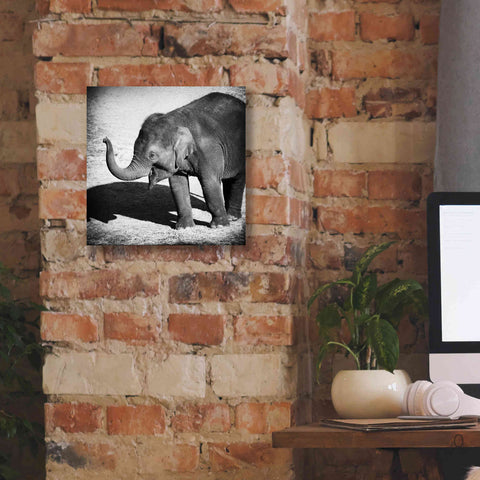 Image of 'Elephant IV' by Debra Van Swearingen, Canvas Wall Art,12 x 12