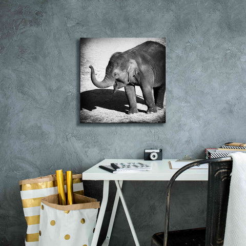 Image of 'Elephant IV' by Debra Van Swearingen, Canvas Wall Art,18 x 18