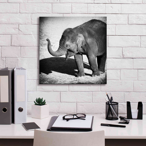 Image of 'Elephant IV' by Debra Van Swearingen, Canvas Wall Art,18 x 18