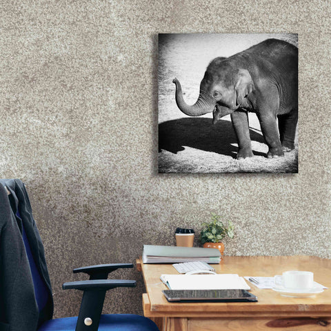 Image of 'Elephant IV' by Debra Van Swearingen, Canvas Wall Art,26 x 26