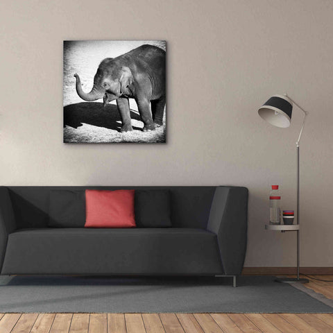 Image of 'Elephant IV' by Debra Van Swearingen, Canvas Wall Art,37 x 37