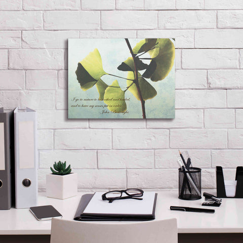 Image of 'Delicate Ginkgo' by Debra Van Swearingen, Canvas Wall Art,16 x 12