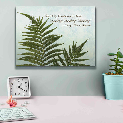 Image of 'Delicate Fern' by Debra Van Swearingen, Canvas Wall Art,16 x 12