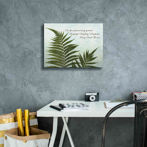 Image of 'Delicate Fern' by Debra Van Swearingen, Canvas Wall Art,16 x 12