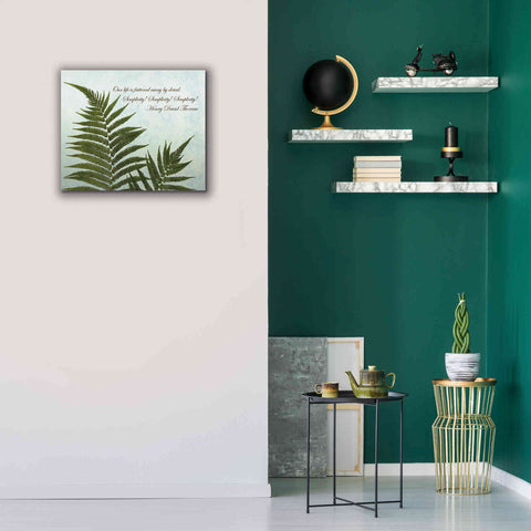 Image of 'Delicate Fern' by Debra Van Swearingen, Canvas Wall Art,24 x 20