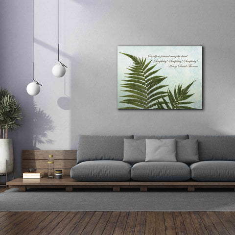 Image of 'Delicate Fern' by Debra Van Swearingen, Canvas Wall Art,54 x 40
