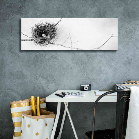 Image of 'Nest and Branch I Pano' by Debra Van Swearingen, Canvas Wall Art,36 x 12