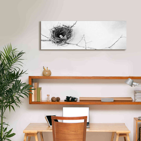 Image of 'Nest and Branch I Pano' by Debra Van Swearingen, Canvas Wall Art,36 x 12