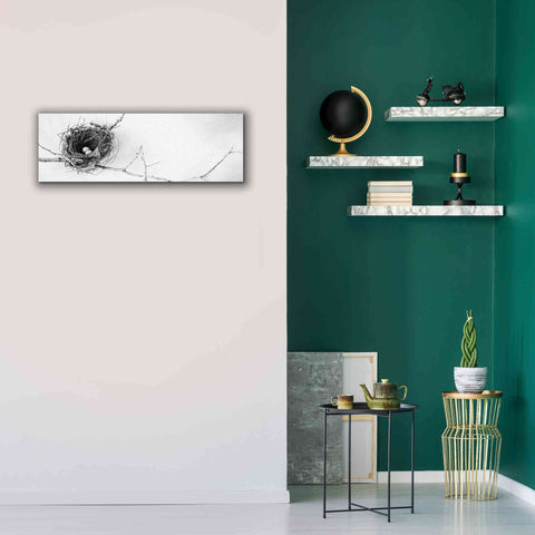 Image of 'Nest and Branch I Pano' by Debra Van Swearingen, Canvas Wall Art,36 x 12