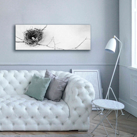 Image of 'Nest and Branch I Pano' by Debra Van Swearingen, Canvas Wall Art,60 x 20