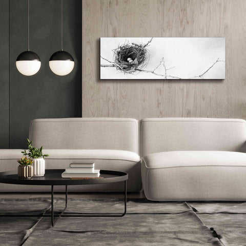 Image of 'Nest and Branch I Pano' by Debra Van Swearingen, Canvas Wall Art,60 x 20