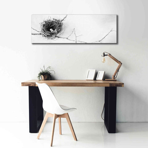 Image of 'Nest and Branch I Pano' by Debra Van Swearingen, Canvas Wall Art,60 x 20