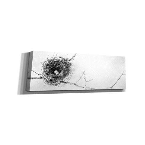 Image of 'Nest and Branch I Pano' by Debra Van Swearingen, Canvas Wall Art,36x12x1.74x0,60x20x1.74x0