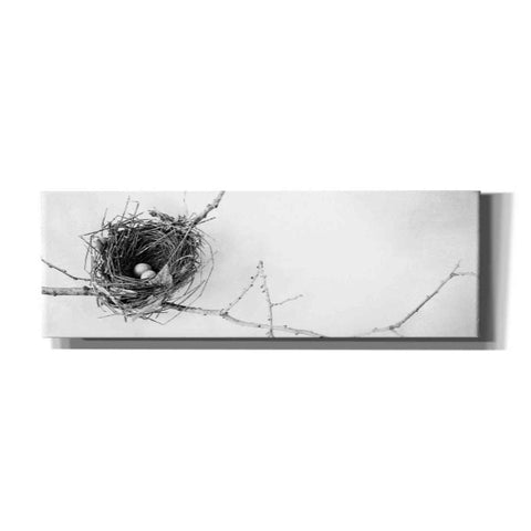Image of 'Nest and Branch I Pano' by Debra Van Swearingen, Canvas Wall Art,36x12x1.74x0,60x20x1.74x0