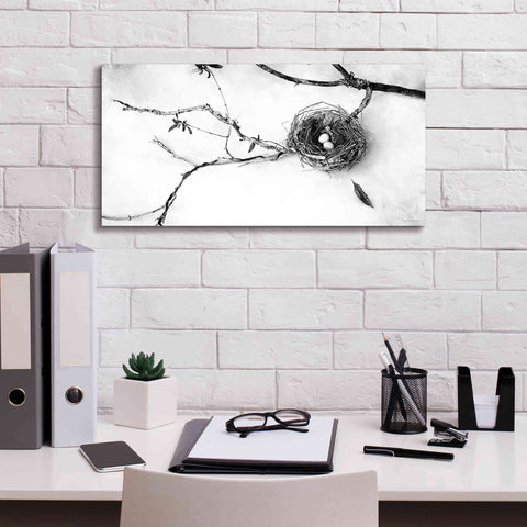 Image of 'Nest and Branch II' by Debra Van Swearingen, Canvas Wall Art,24 x 12