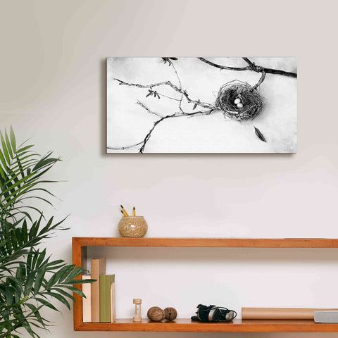 Image of 'Nest and Branch II' by Debra Van Swearingen, Canvas Wall Art,24 x 12