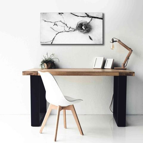 Image of 'Nest and Branch II' by Debra Van Swearingen, Canvas Wall Art,40 x 20