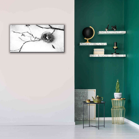 Image of 'Nest and Branch II' by Debra Van Swearingen, Canvas Wall Art,40 x 20
