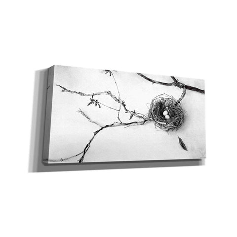 Image of 'Nest and Branch II' by Debra Van Swearingen, Canvas Wall Art,24x12x1.1x0,40x20x1.74x0,60x30x1.74x0