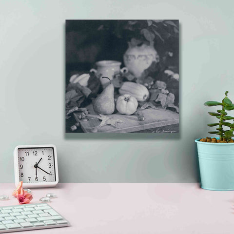 Image of 'Quince Pear' by Debra Van Swearingen, Canvas Wall Art,12 x 12