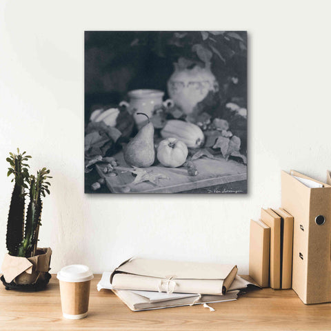 Image of 'Quince Pear' by Debra Van Swearingen, Canvas Wall Art,18 x 18