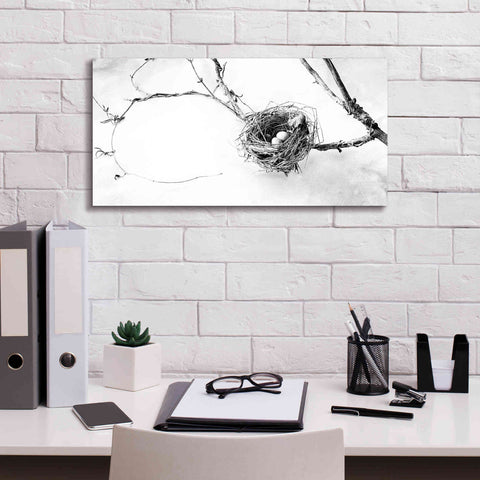 Image of 'Nest and Branch III' by Debra Van Swearingen, Canvas Wall Art,24 x 12
