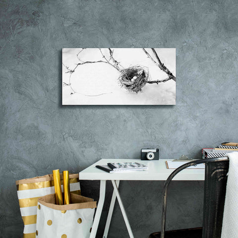 Image of 'Nest and Branch III' by Debra Van Swearingen, Canvas Wall Art,24 x 12