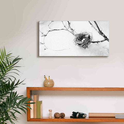 Image of 'Nest and Branch III' by Debra Van Swearingen, Canvas Wall Art,24 x 12