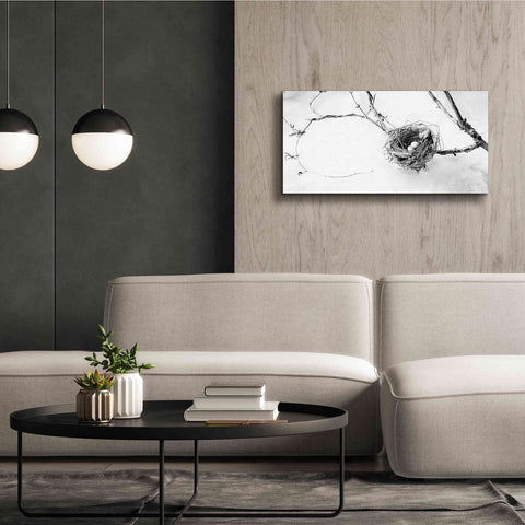 Image of 'Nest and Branch III' by Debra Van Swearingen, Canvas Wall Art,40 x 20