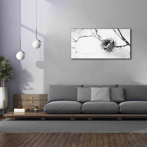 Image of 'Nest and Branch III' by Debra Van Swearingen, Canvas Wall Art,60 x 30