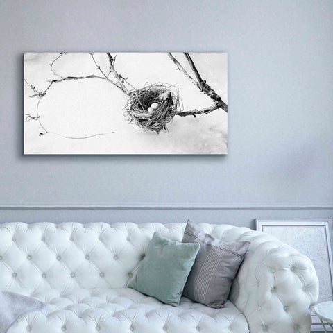 Image of 'Nest and Branch III' by Debra Van Swearingen, Canvas Wall Art,60 x 30