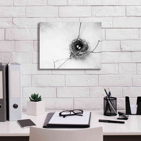 Image of 'Nest and Branch IV' by Debra Van Swearingen, Canvas Wall Art,16 x 12