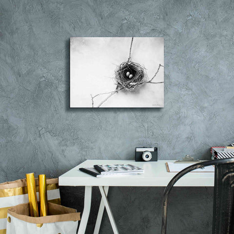 Image of 'Nest and Branch IV' by Debra Van Swearingen, Canvas Wall Art,16 x 12