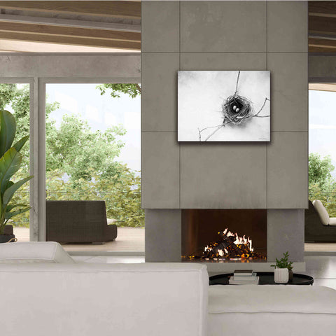 Image of 'Nest and Branch IV' by Debra Van Swearingen, Canvas Wall Art,34 x 26