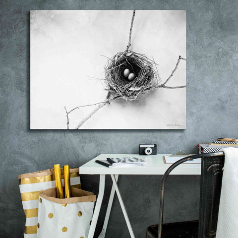 Image of 'Nest and Branch IV' by Debra Van Swearingen, Canvas Wall Art,34 x 26