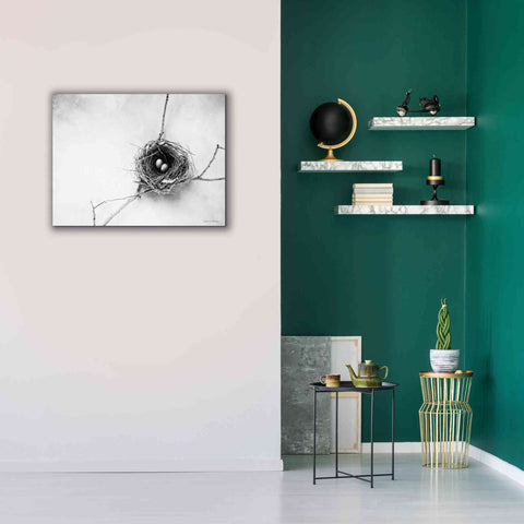 Image of 'Nest and Branch IV' by Debra Van Swearingen, Canvas Wall Art,34 x 26