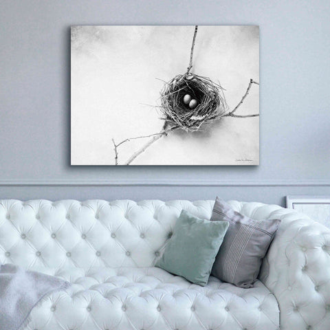 Image of 'Nest and Branch IV' by Debra Van Swearingen, Canvas Wall Art,54 x 40