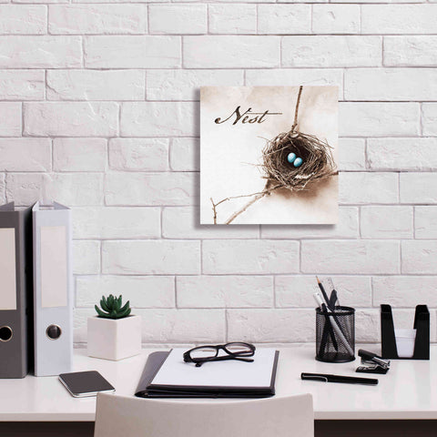 Image of 'Nest and Branch IV - Nest' by Debra Van Swearingen, Canvas Wall Art,12 x 12