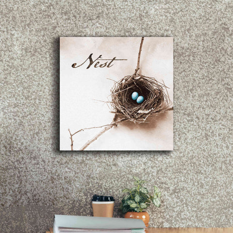 Image of 'Nest and Branch IV - Nest' by Debra Van Swearingen, Canvas Wall Art,18 x 18