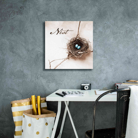 Image of 'Nest and Branch IV - Nest' by Debra Van Swearingen, Canvas Wall Art,18 x 18