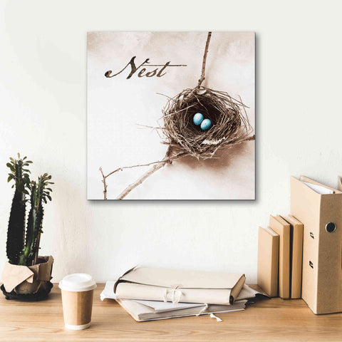 Image of 'Nest and Branch IV - Nest' by Debra Van Swearingen, Canvas Wall Art,18 x 18