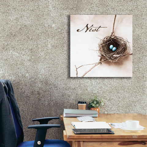 Image of 'Nest and Branch IV - Nest' by Debra Van Swearingen, Canvas Wall Art,26 x 26