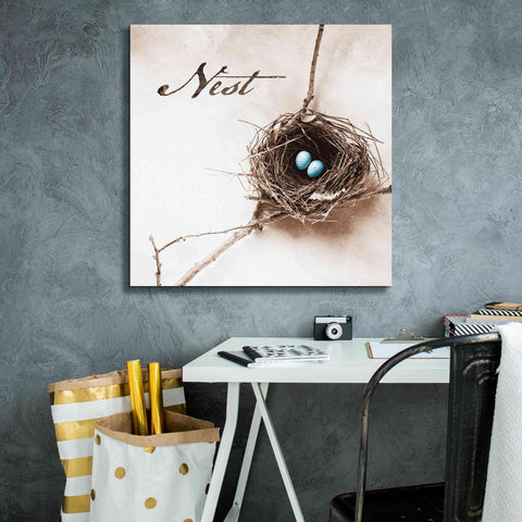 Image of 'Nest and Branch IV - Nest' by Debra Van Swearingen, Canvas Wall Art,26 x 26