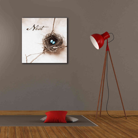 Image of 'Nest and Branch IV - Nest' by Debra Van Swearingen, Canvas Wall Art,26 x 26