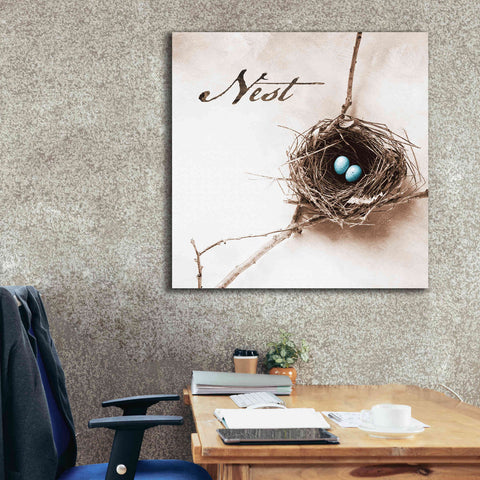 Image of 'Nest and Branch IV - Nest' by Debra Van Swearingen, Canvas Wall Art,37 x 37