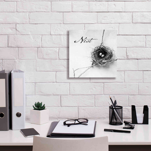 Image of 'Nest and Branch IV - Nest B&W' by Debra Van Swearingen, Canvas Wall Art,12 x 12