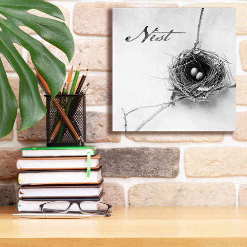 Image of 'Nest and Branch IV - Nest B&W' by Debra Van Swearingen, Canvas Wall Art,12 x 12