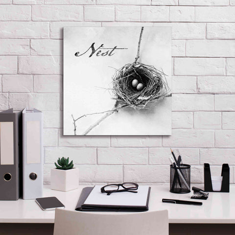 Image of 'Nest and Branch IV - Nest B&W' by Debra Van Swearingen, Canvas Wall Art,18 x 18