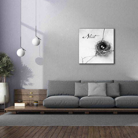 Image of 'Nest and Branch IV - Nest B&W' by Debra Van Swearingen, Canvas Wall Art,37 x 37